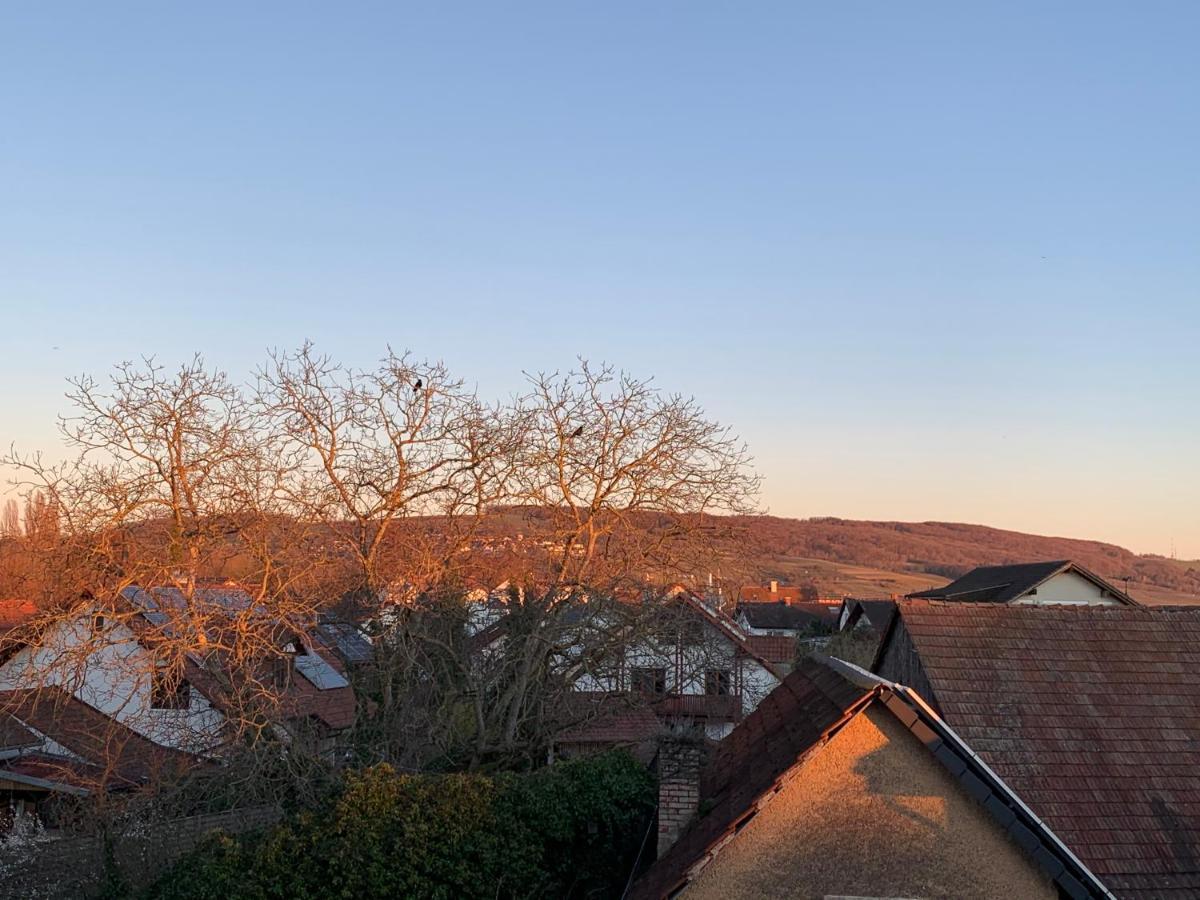 Ferienwohnung Baselblick, Eimeldingen Luaran gambar